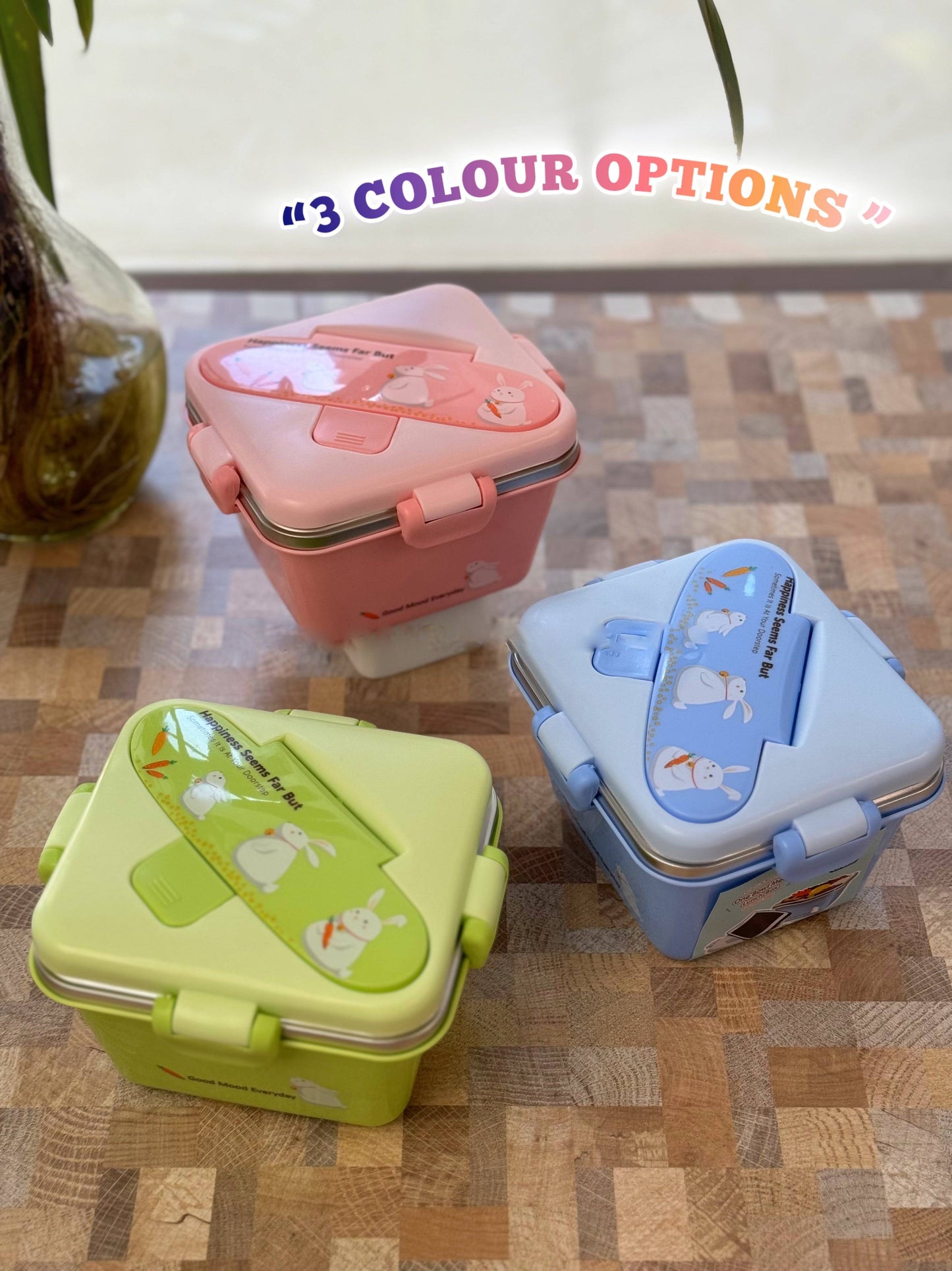 One bowl Meal Lunch Box