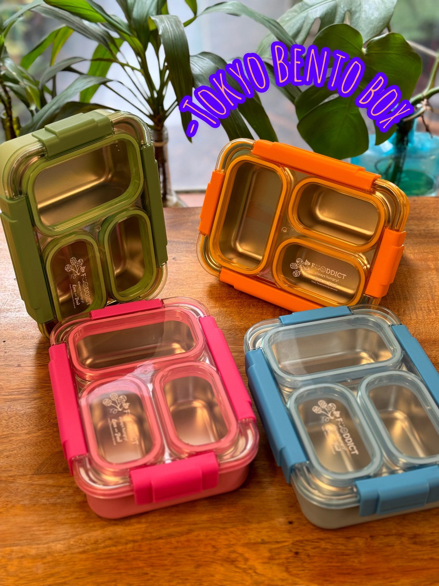 Tokyo Bento Lunch Box (Leakproof+Free Cutlery)